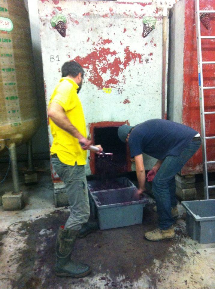 Vin de jardin 2024