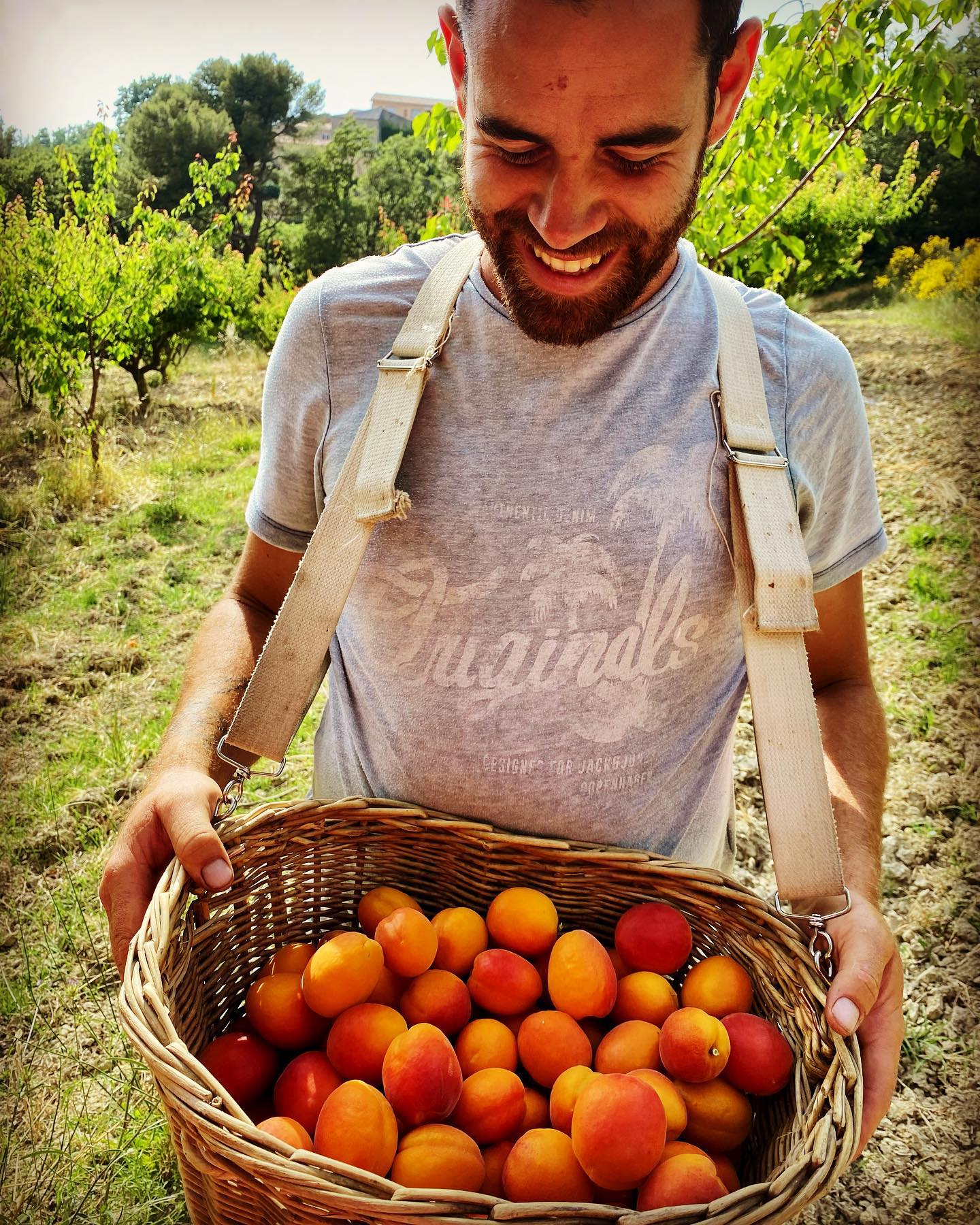 Confiture d'abricot