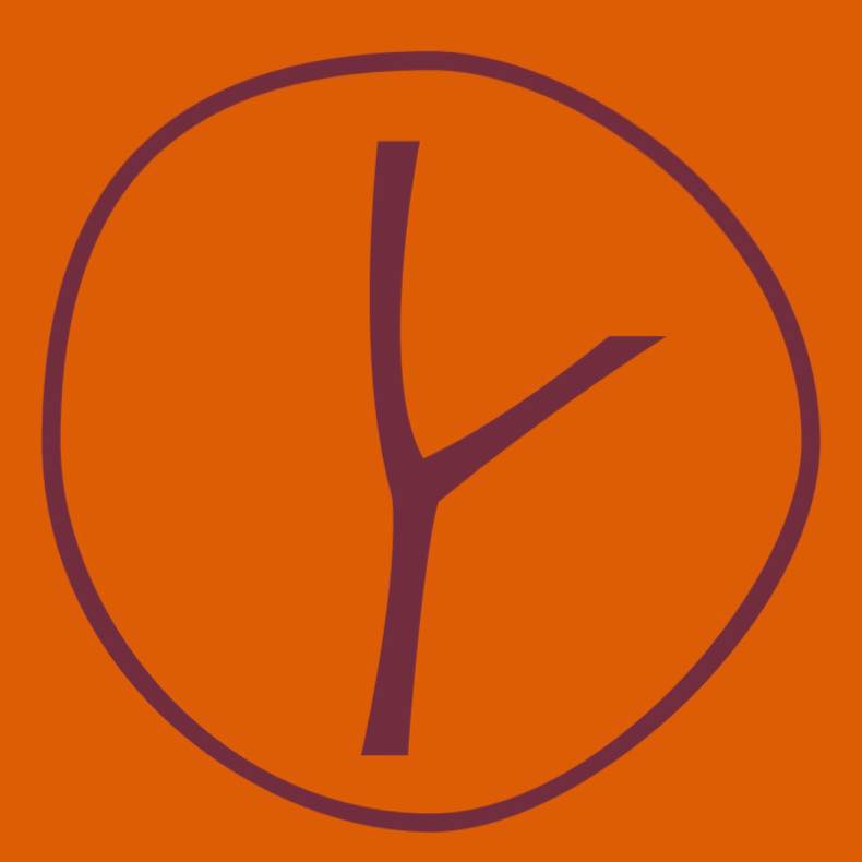 Brown Sugar | Thé noir au cacao et aux noix de pécans caramélisées