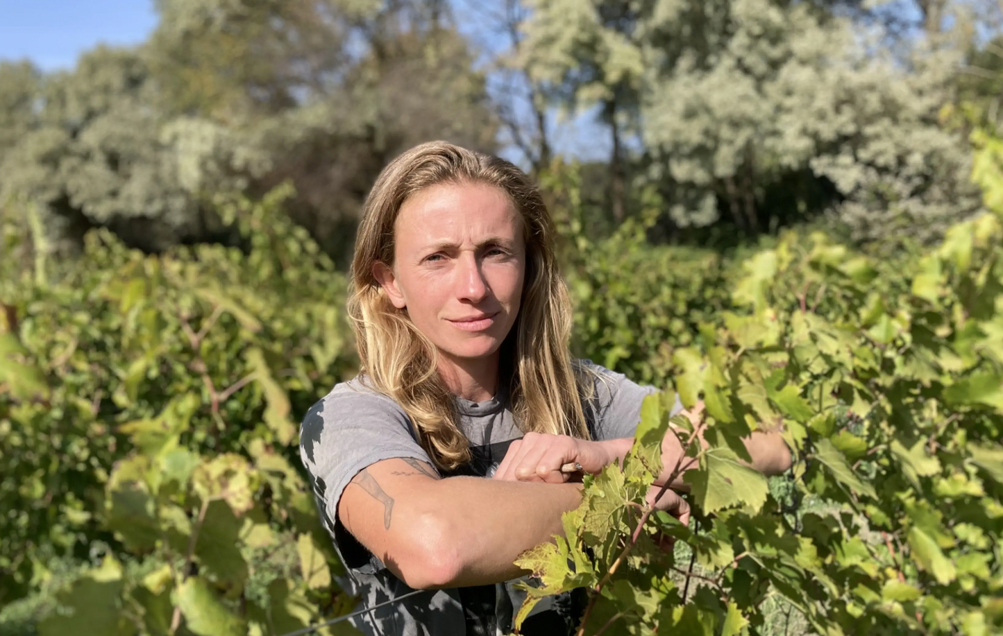 Vaudeville 2024 | Vin rosé