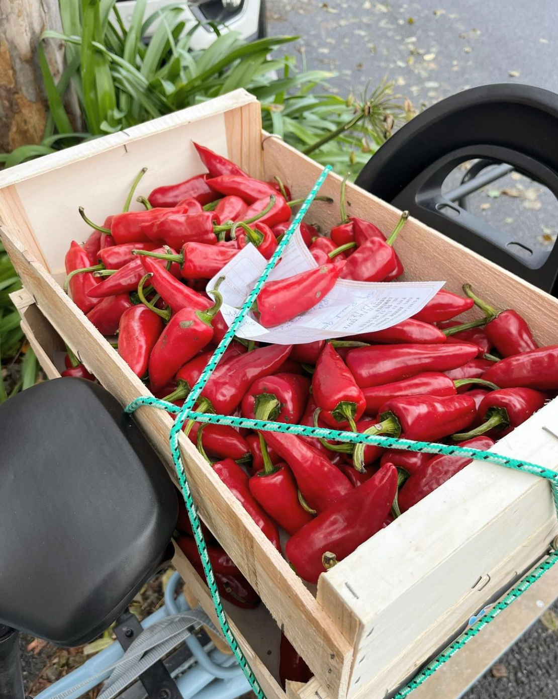 Yassou Sauce | Hot sauce bergamote & gingembre
