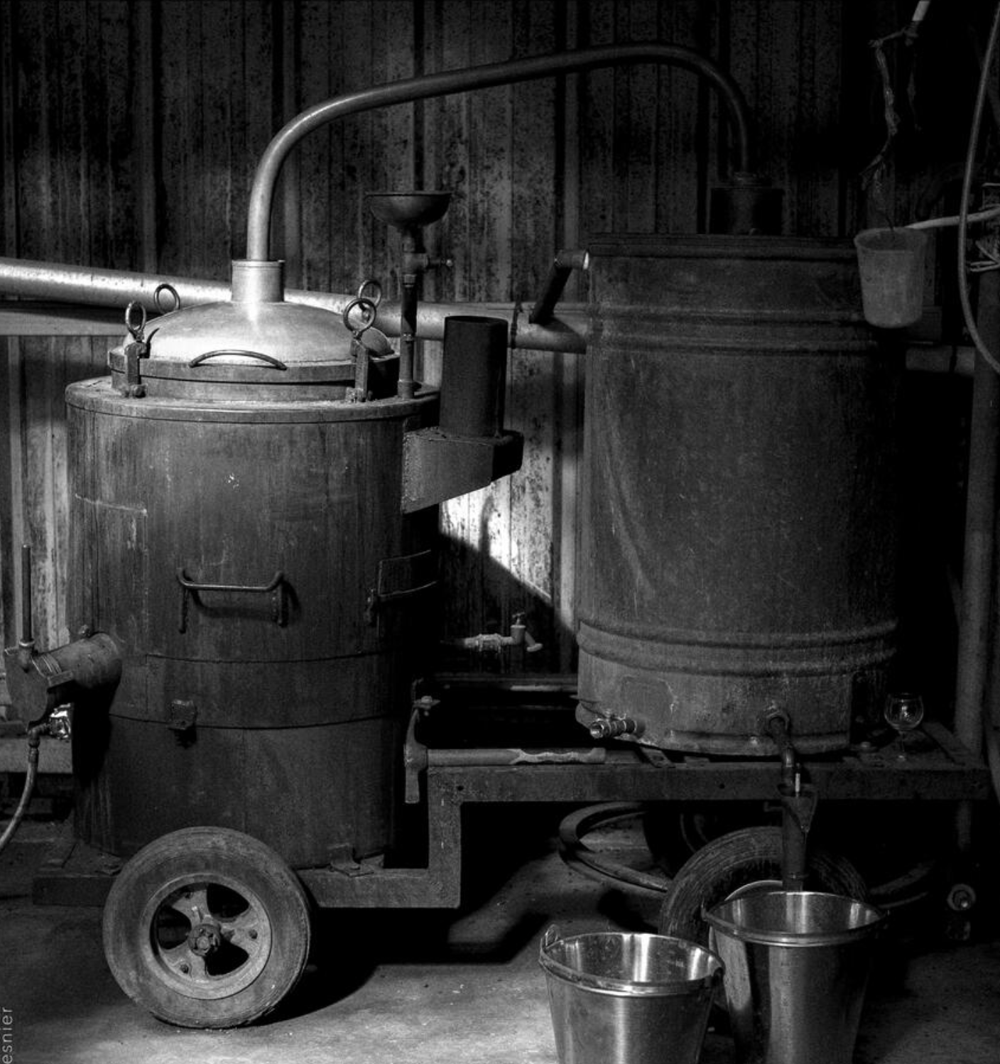 Menthe Pastiche | Liqueur artisanale de menthe
