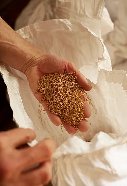 Moutarde d'Uther 190gr | Moutarde artisanale, paysanne, et bretonne.