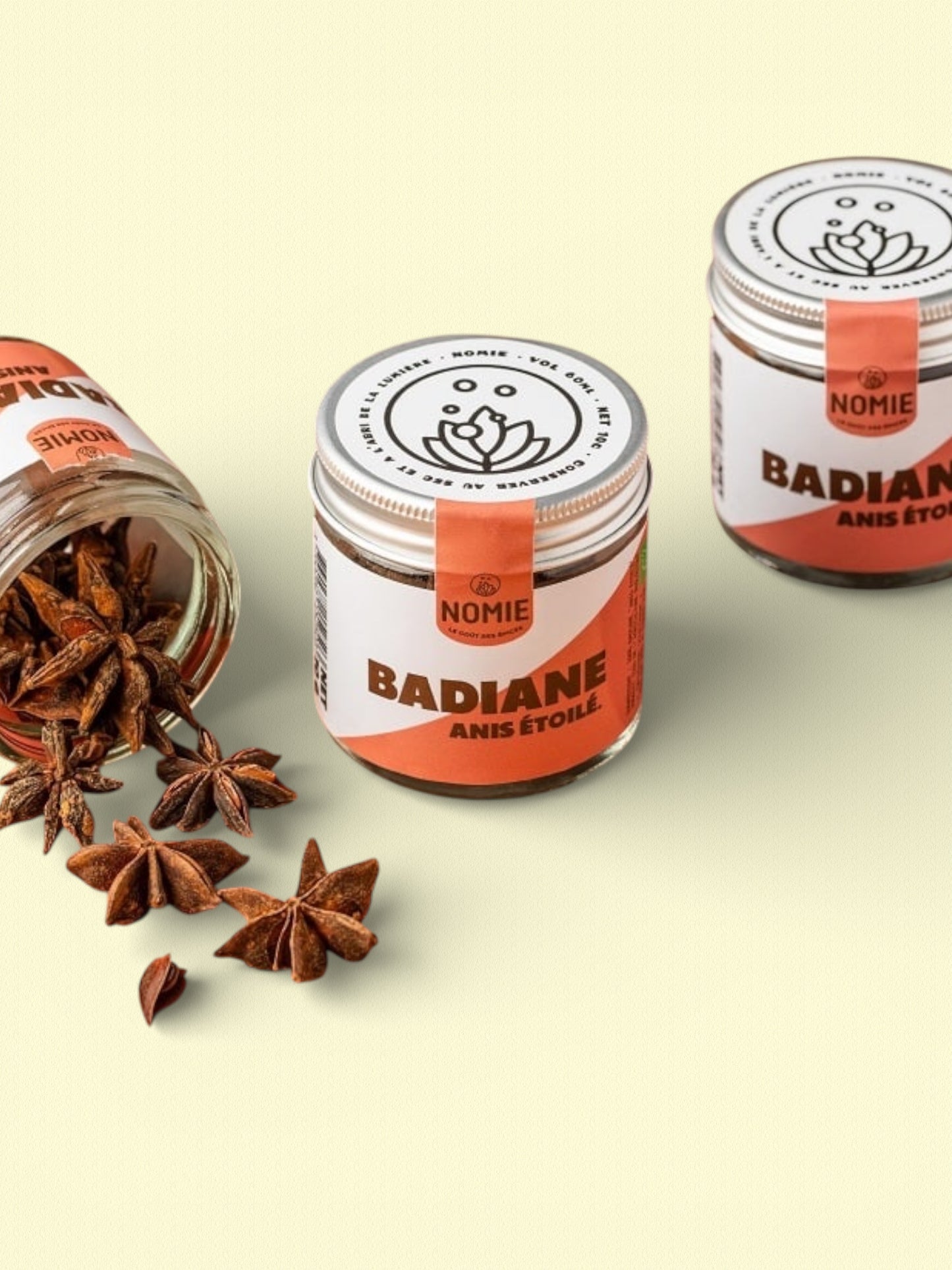 Badiane / Anis étoilé bio