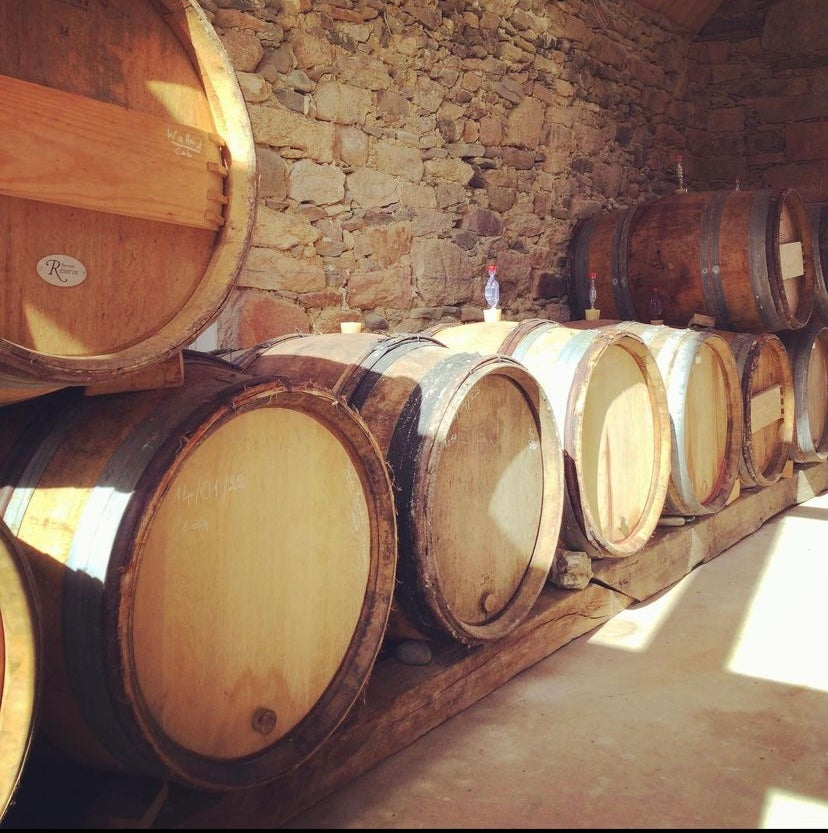 Wild Grisette Savagnin | Bière de fermentation spontanée élevée en fut du Jura