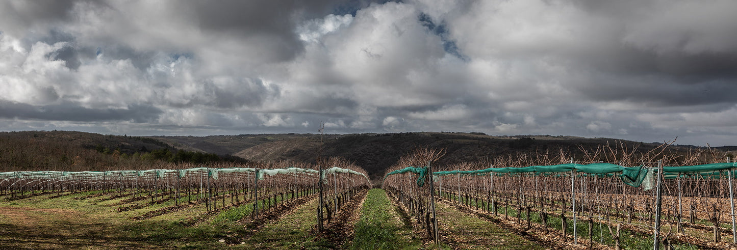 Château Combel La Serre 2021