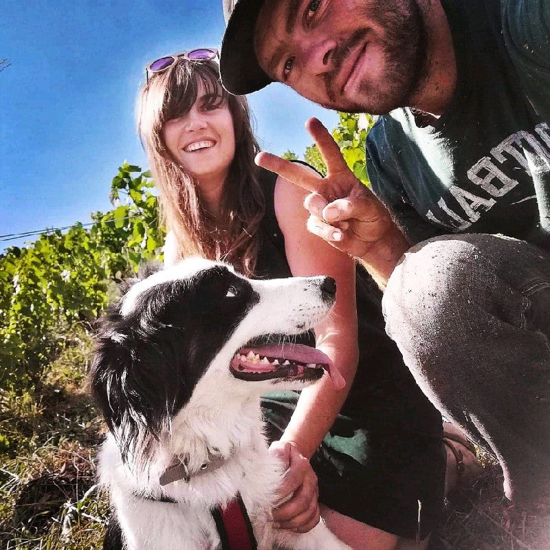 Massaï | Beaujolais Nouveau 2025