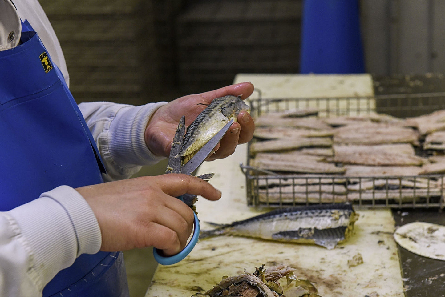 Filets de maquereaux à la moutarde