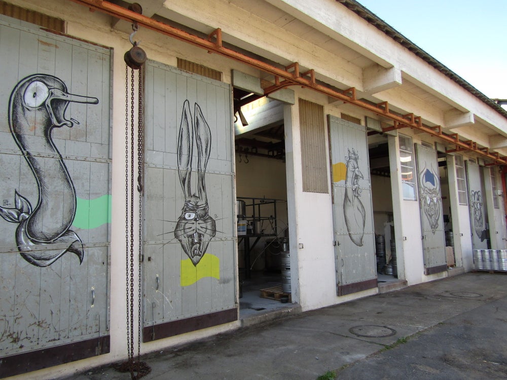 Ovum Myrica | Bière blonde Kveik à la myrte des marais