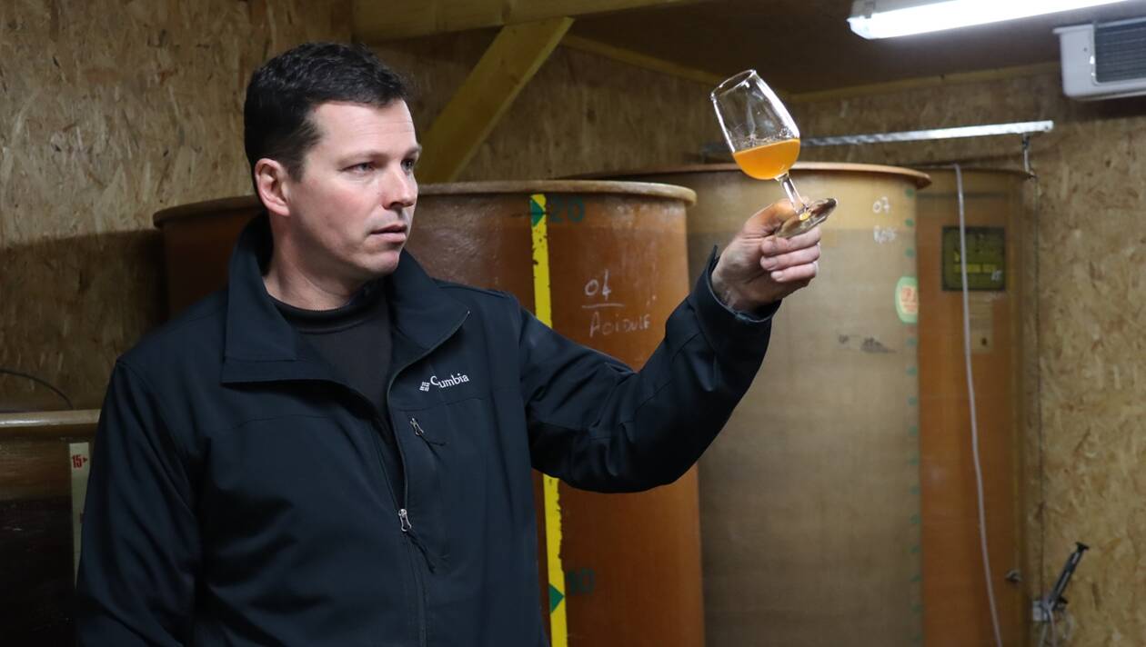 Jus de pommes pétillant