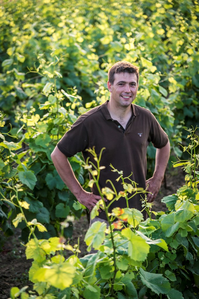 Muscadet | Vin blanc 3L/5L