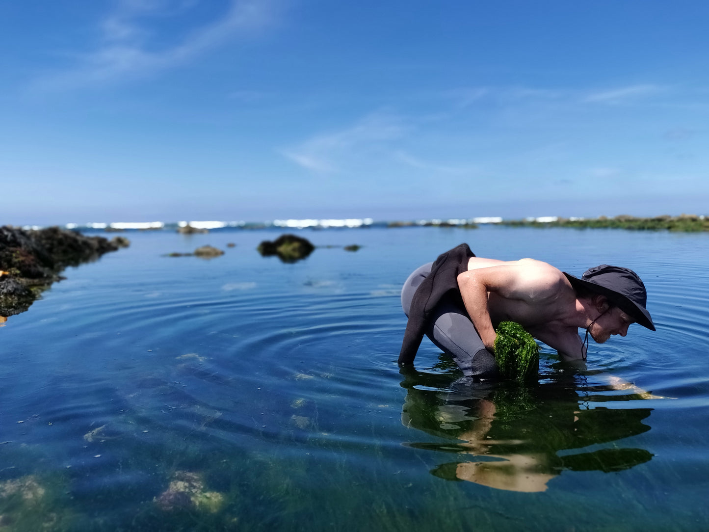 Caviar de nori