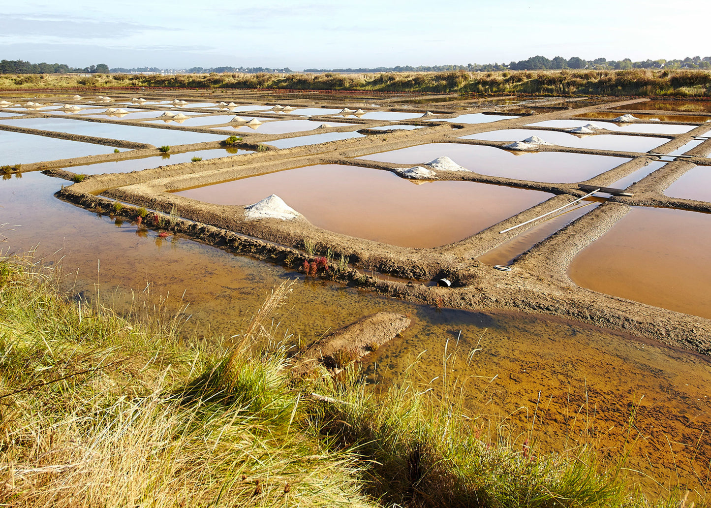 Gros sel de Saint-Armel | 1kg
