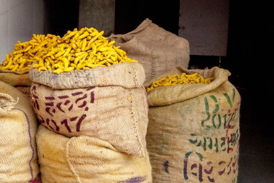 Curcuma du Kerala moulu