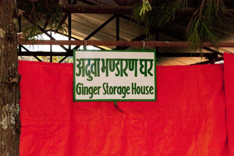 Gingembre du Kerala moulu