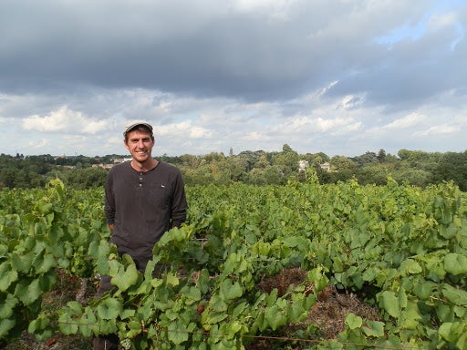 VIN POUR TOUS