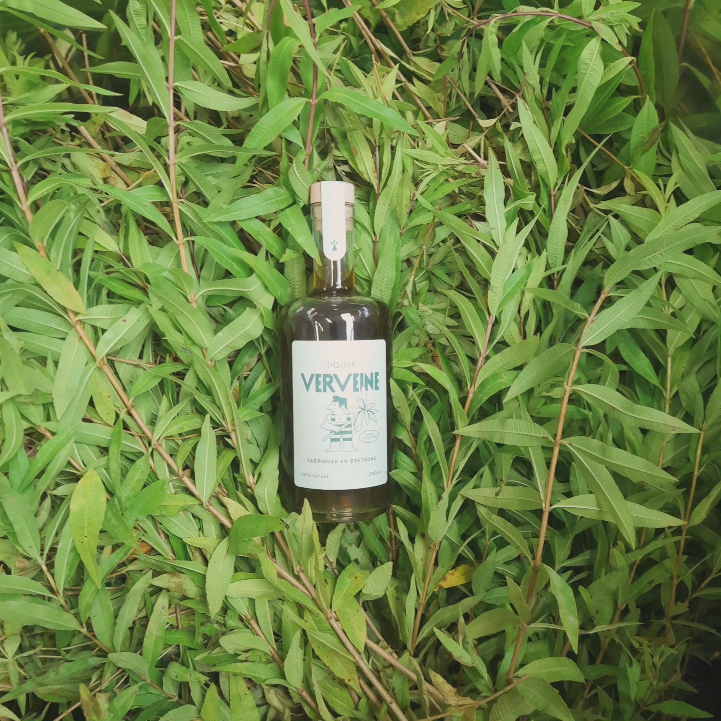 Liqueur de verveine 50cl