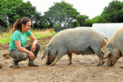 Rillettes de soutien à l'agriculture paysanne | Cochon bio de plein air