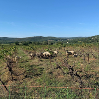 Chacun son rôle