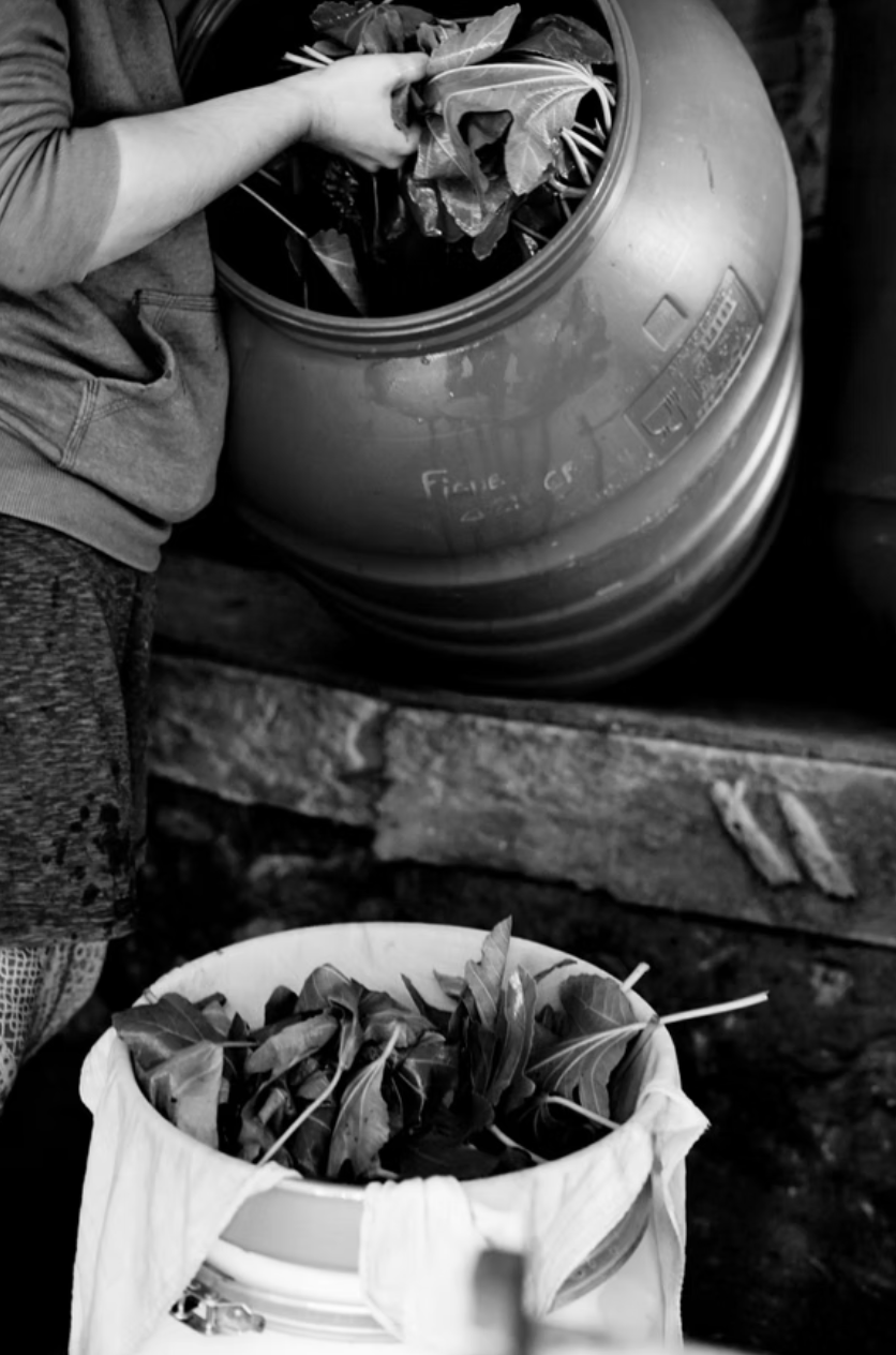 Vinaigre de Chenin | Vinaigre artisanal de vin 20cl