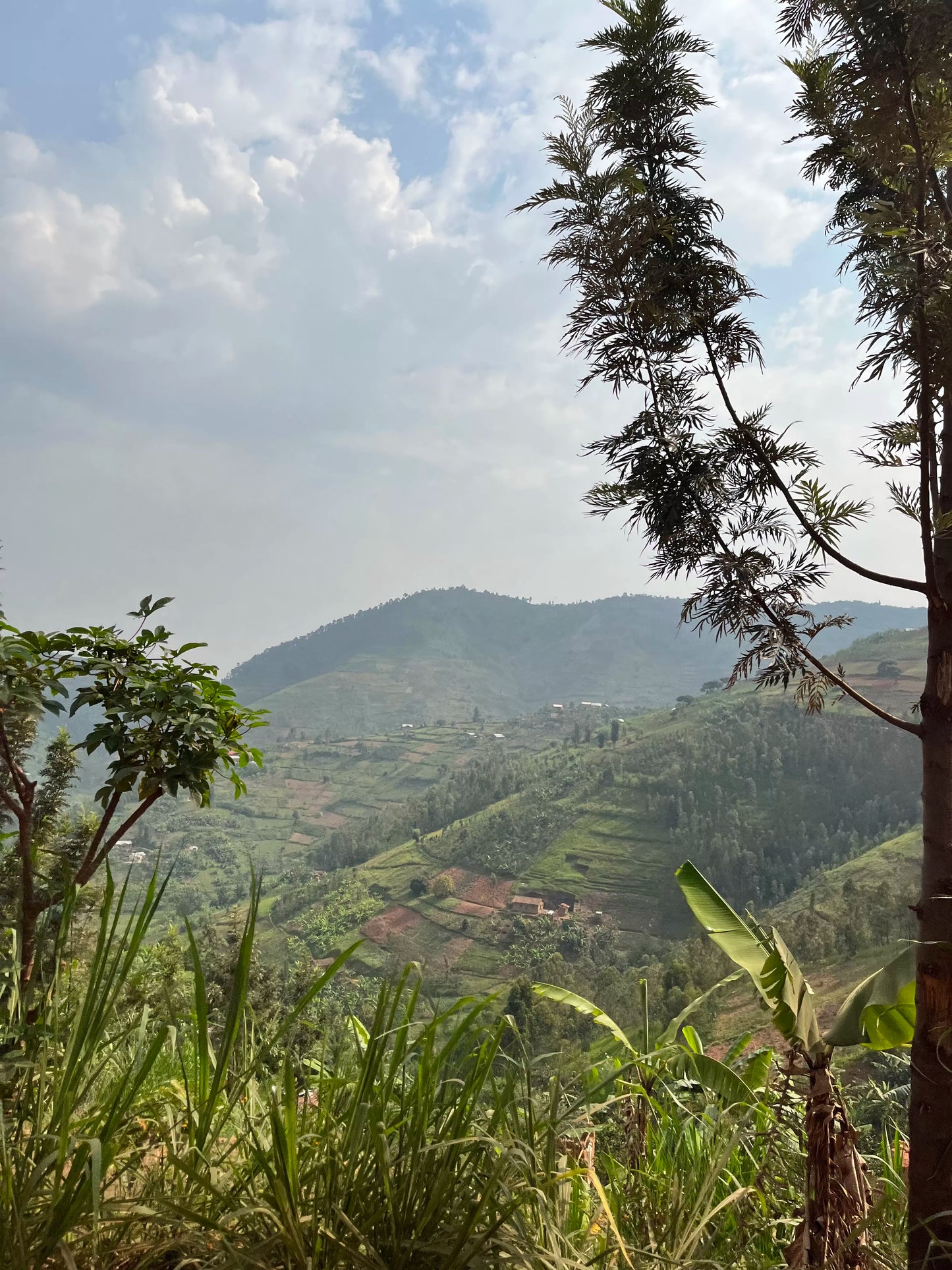 Mbilima | Café du Rwanda