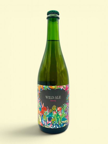 Wild Ale | Bière de fermentation spontanée élevée en fut de Gamay 75cl