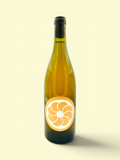 Ronds blanc 2023 | Vin orange