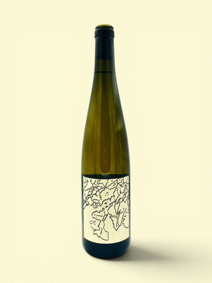 Riesling 23/24
