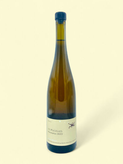 Les Pucelles 2022 | Vin orange