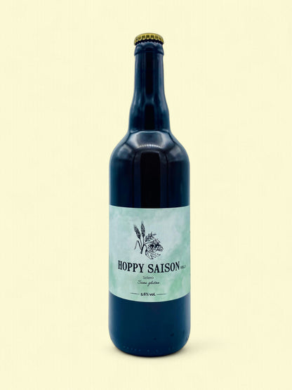 Hoppy Saison vol. 3 | Bière blonde sans gluten