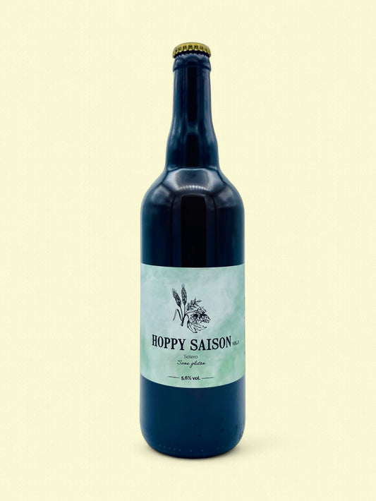 Hoppy Saison vol. 3 | Bière blonde sans gluten