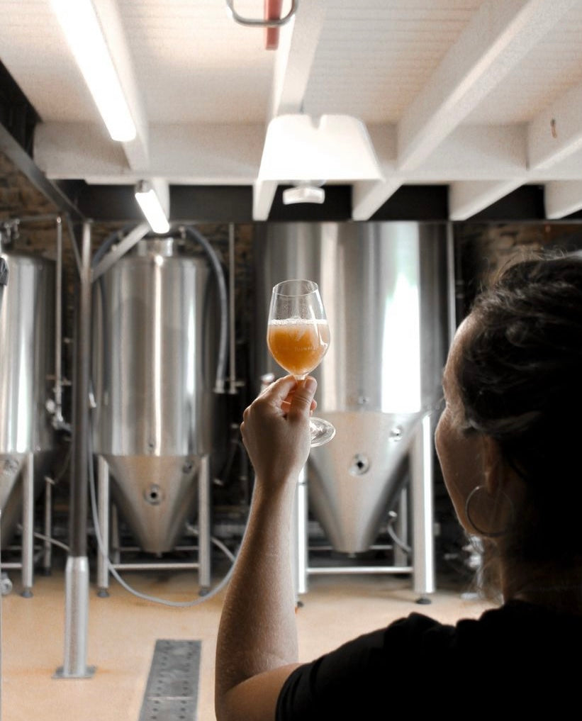 Wild Grisette | Bière de fermentation spontanée vieillie en barrique de vin jaune