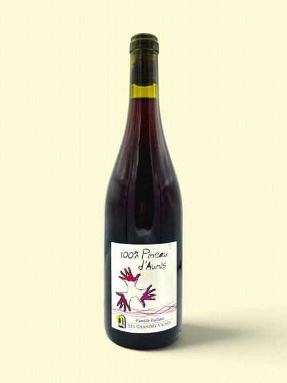 100% Pineau d'Aunis 2024