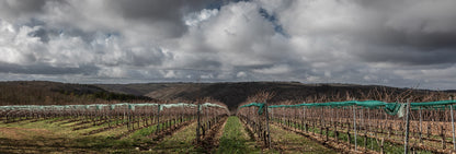 Lac aux cochons 2021