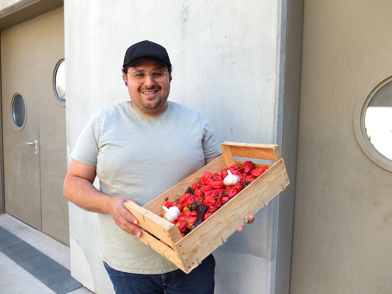 Harissa au piment doux