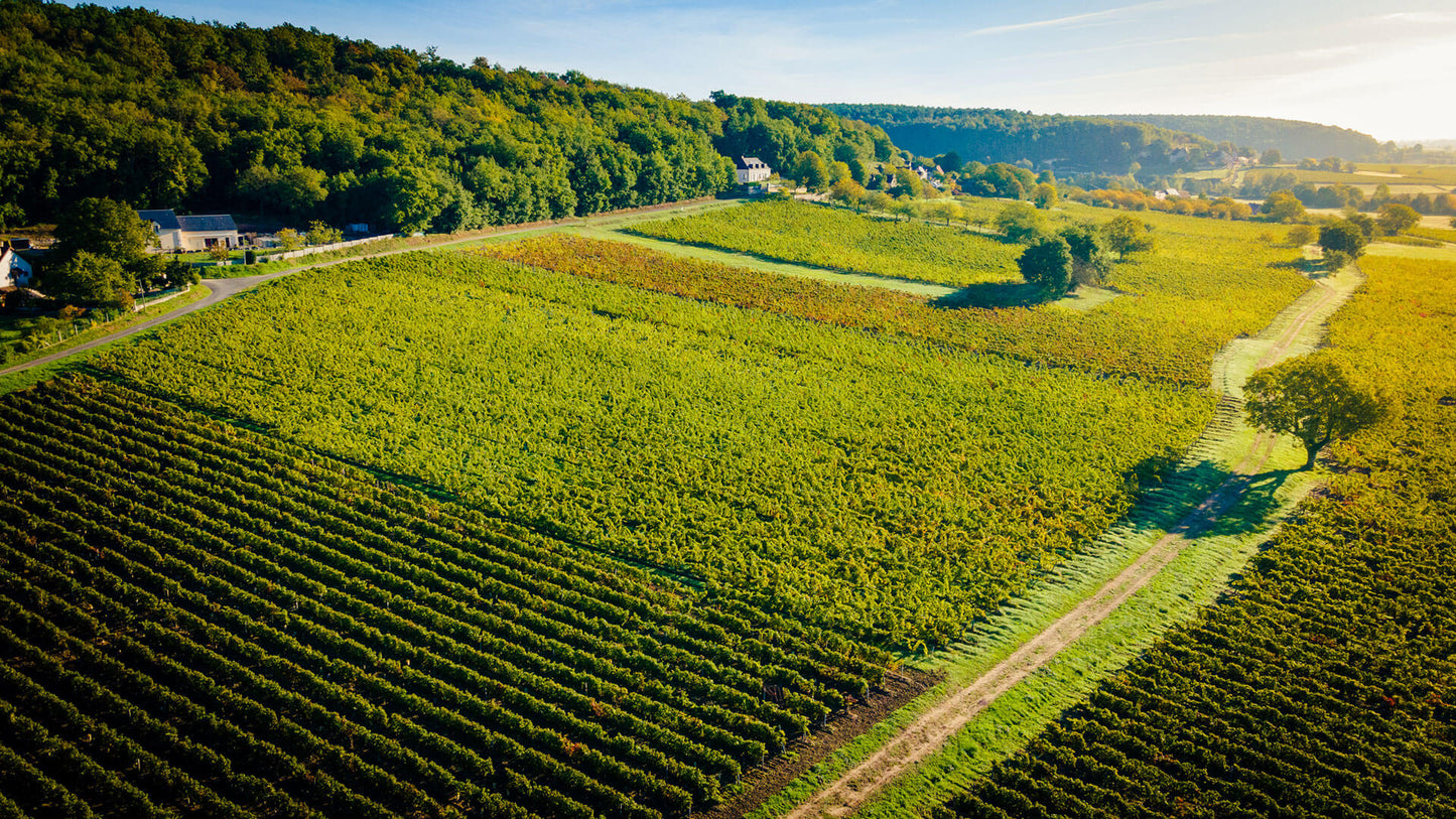 Chinon rosé 2024 | Vin rosé