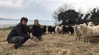 Rillettes de soutien à l'agriculture paysanne | Cochon bio de plein air