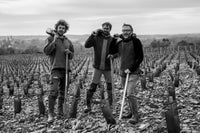 Le grolleau noir | Vin primeur 2022