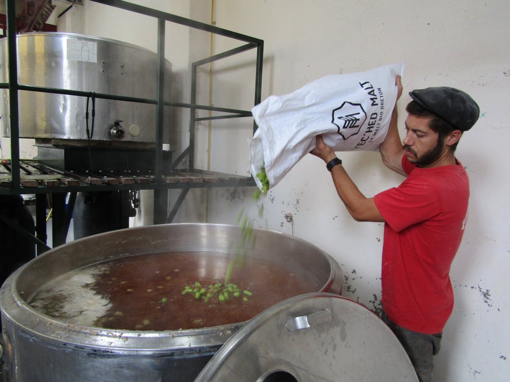 Ovum Myrica | Bière blonde Kveik à la myrte des marais