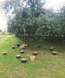 Jus de pommes pétillant