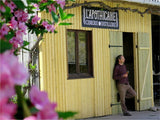 Vinaigre de cidre au romarin