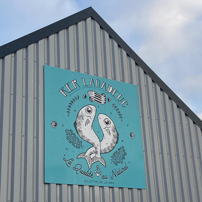 Rillettes de lieu jaune aux agrumes