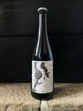 Sarbacane | Bière blonde au sureau