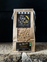 Les pépinettes | Pâtes semi-complètes